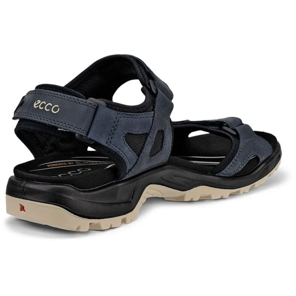 Ecco mens eu